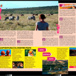 advertorial2